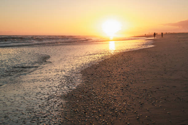 istock Peaceful evening strolls under a glowing sunset on the beach. 2196013032