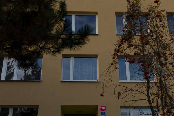 istock A residential building facade showcasing numerous windows alongside a tree 2196018781