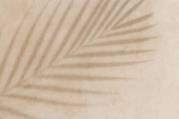 istock Summer background, top view sun shadow from palm leaf on sandy colored background. Summer aesthetic photo pale beige colored, copy space, nobody, vacation and rest concept. Abstract top view 2196023142