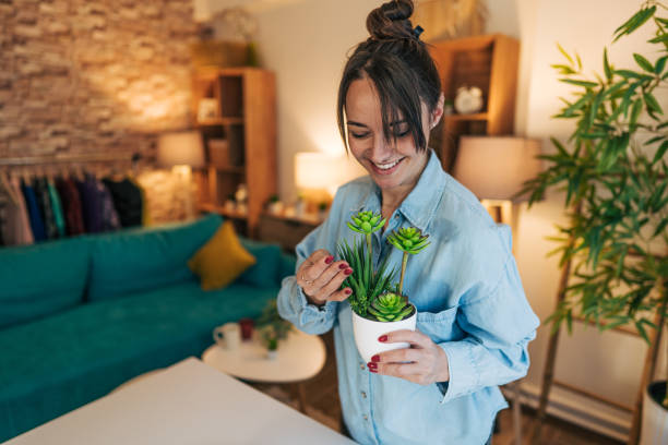 istock A young woman tidies up her dining table while pausing to admire her plant. 2196024858