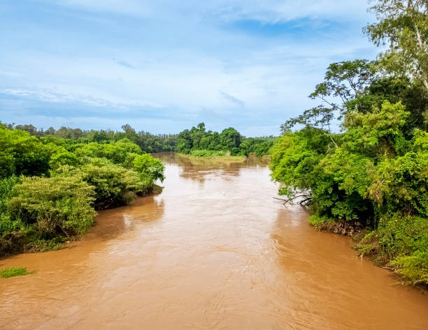 istock Aerial View of Serene River Flowing Through Lush Green Forest 2196026579