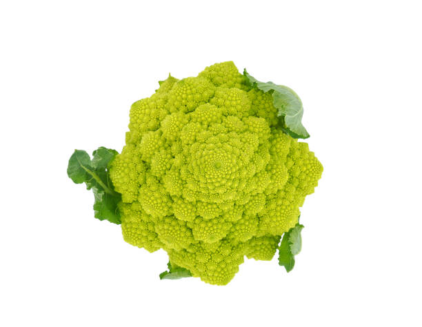 istock Romanesco broccoli isolated on white background, Brassica oleracea 2196026773