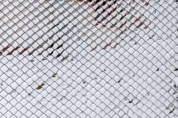 A chain link fence covered in snow photographed from the front, snow stuck to and frozen into the fence details, a yard photographed through the fence during a snowfall, weather conditions snowfall, from a close distance