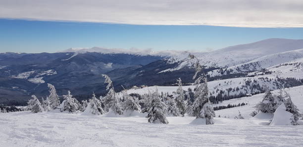 istock Snowy Mountain Slopes with Coniferous Trees and Cable Car Supports Under a Cloudy Sky 2196034087