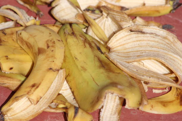 istock Banana Peels Close Up 2196036136