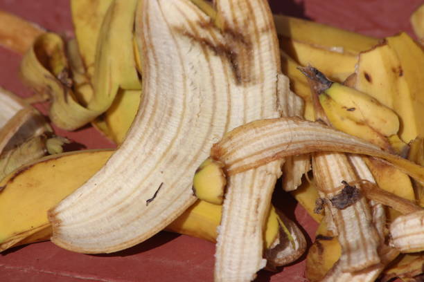istock Banana Peels Close Up 2196036569