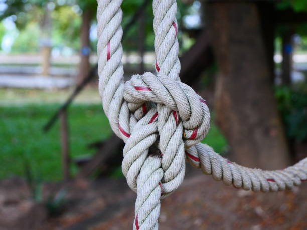 istock A large rope tied into a knot, tied to a large tree. 2196038761