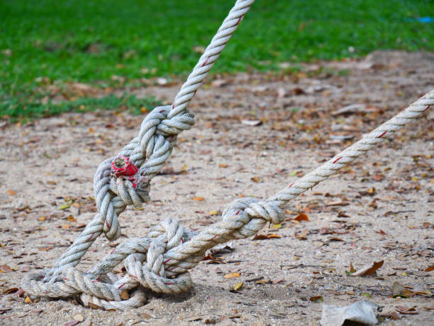 istock A large rope tied into a knot, tied to a large tree. 2196038762