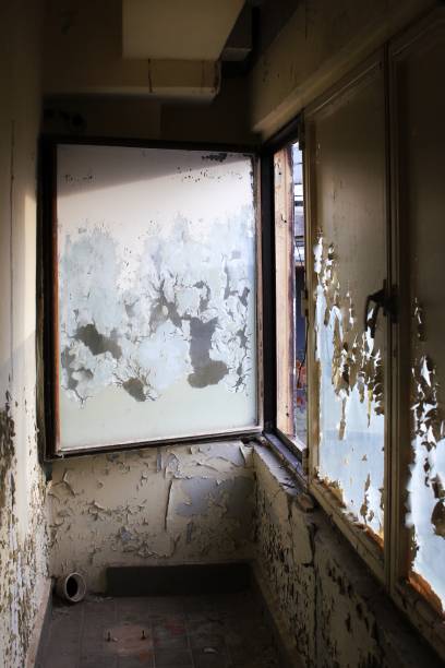 Industrial buildings in decay