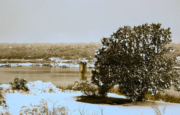 Snowy lake landscape with trees in foreground and stormy white sky in background
