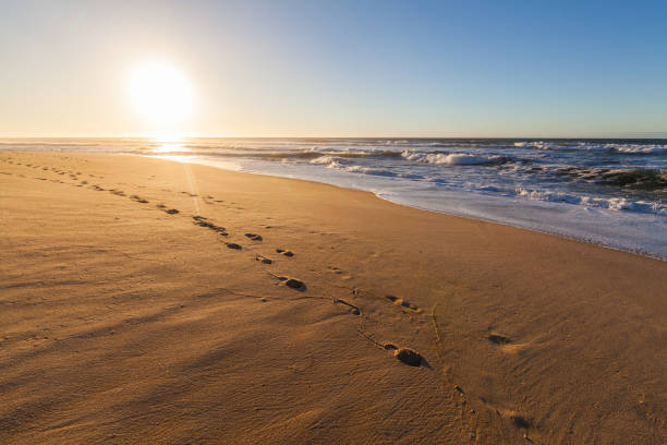 Footprints lead along a sandy beach towards the ocean waves under a clear sky.