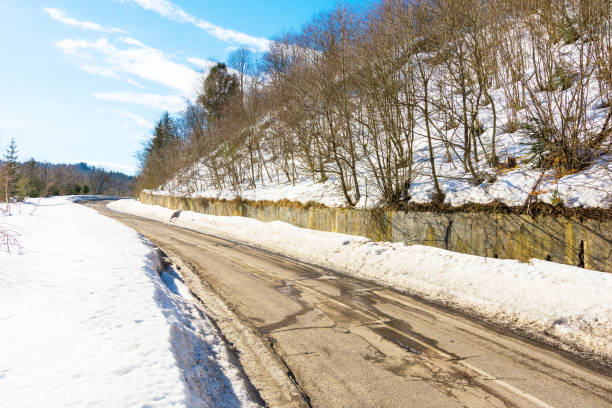 road in carpathian mountains. outoor scenery. sunny day in winter. journey through natural park