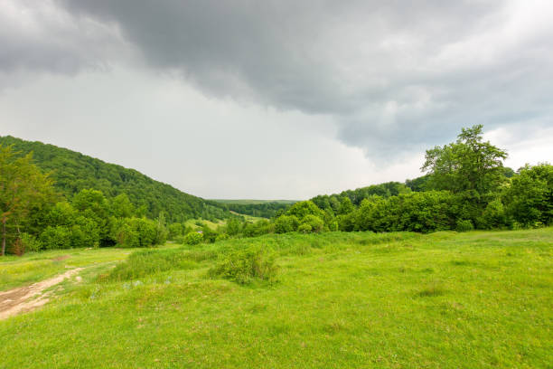istock countryside landscape in mountains 2196049739
