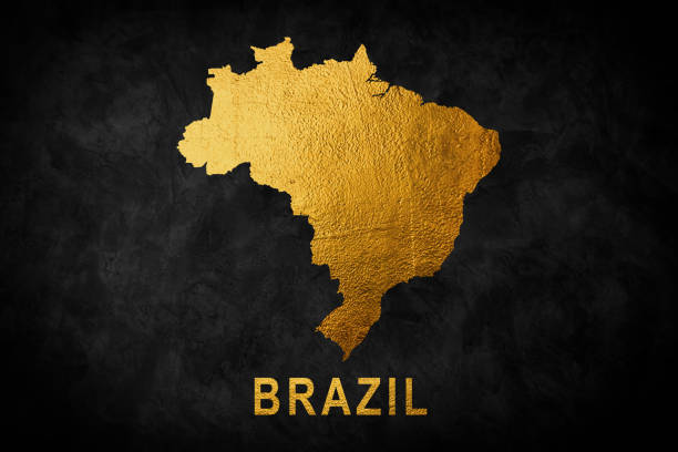 istock Vector isolated illustration with simplified Brazil map. Decorated by shiny gold glitter texture. Christmas and New Year holidays' decoration for greeting card. 2196049879