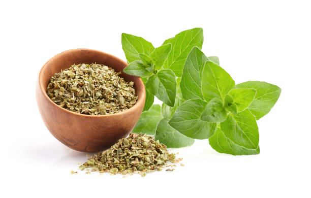 istock Fresh oregano with dry leaves on white background 2196050024
