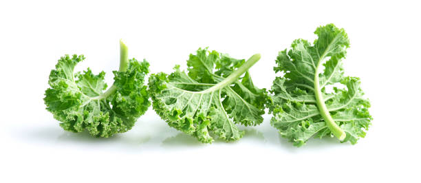istock Kale leaves on white background 2196052654