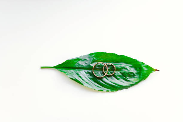 Gold wedding rings placed on a leaf, eco-friendly wedding theme