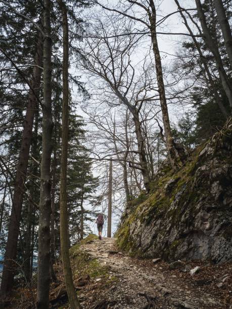 istock Solo hiker on a forest mountain trail 2196054966