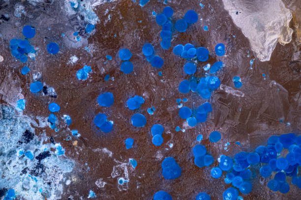 istock blue Connelite with quartz. Specimen from Clara mine, Oberwolfach, Germany. 2196064836