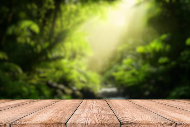 istock The empty wooden table top with blur background of Amazon rainforest. Exuberant image. 2196065225