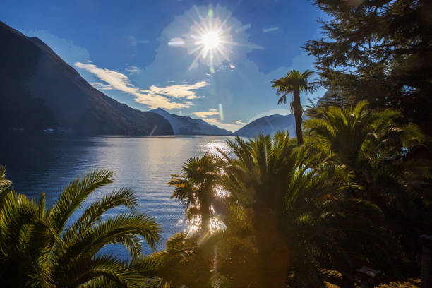 istock Amazing view on Lugano city in palm tree  frame 2196065356