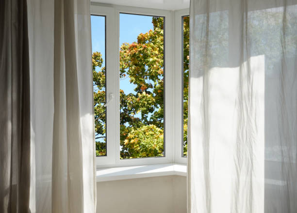 istock View from the window on the garden green trees. 2196065984