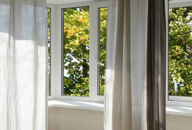 istock View from the window on the garden green trees. 2196065987
