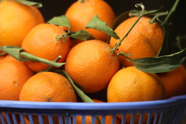 istock Fresh small oranges with green leaves in a plastic basket 2196066253