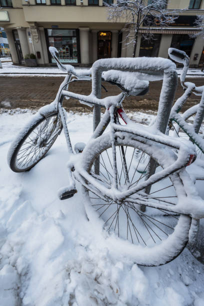 Rental bikes covered in snow.