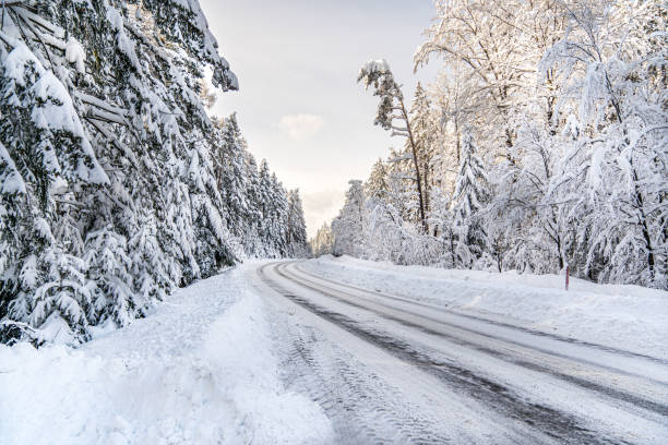 istock A snow covered road with a line of trees on either side 2196071097