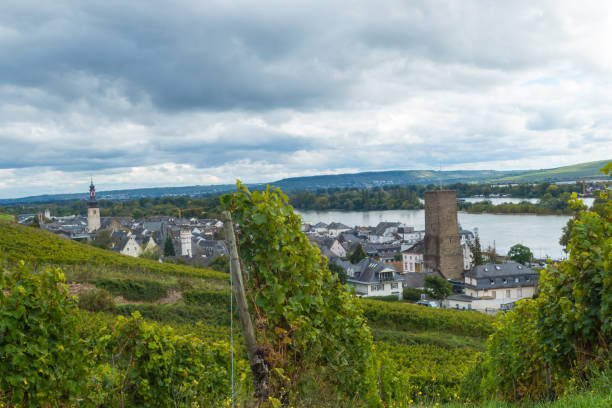 istock Ruedsheim Germany from above view through vineyard 2196074667