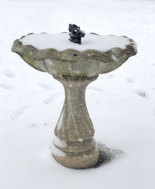 istock Concrete Bird Bath In The Snow 2196076346