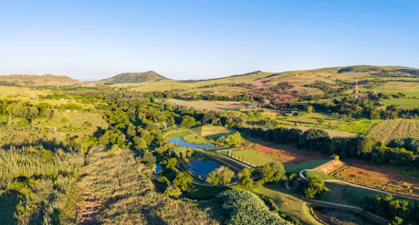 istock Agriculture At Cradle of Humankind Valley 2196081188