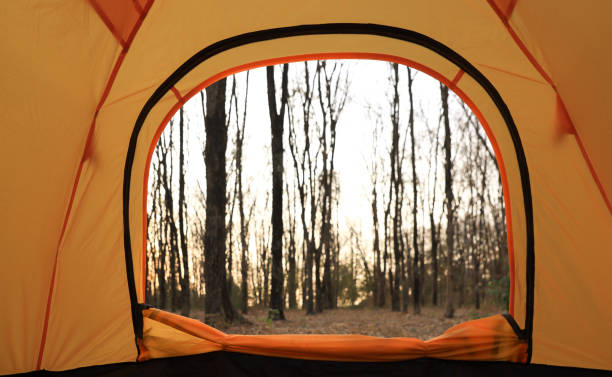 Last fingers of light on the lake seen through the trees with a lighted backpacking tent.