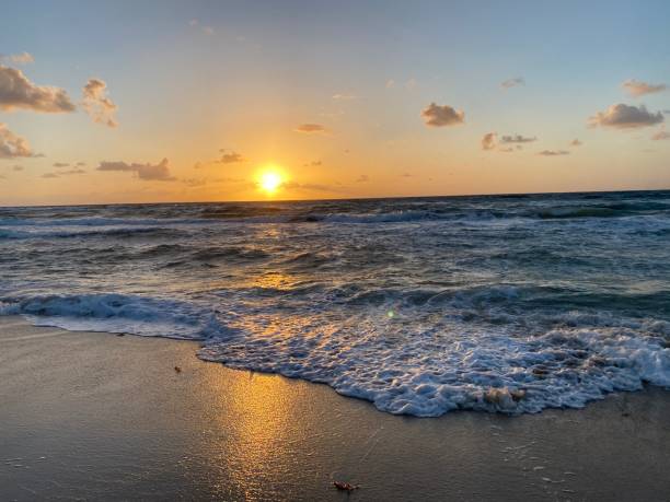 istock Sunrise in Paradise Delray 2196086330