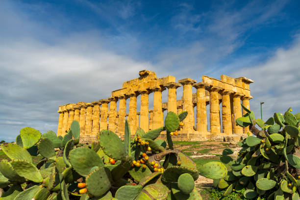 Cactus frames the majestic greek temple of Hera in a sunny day, summer view, Selinunte, Trapani, Sicily, Italy, Europe