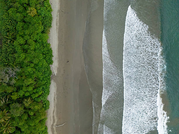 istock Aerial View of Remote Tropical Beach with Waves and Greenery 2196086770