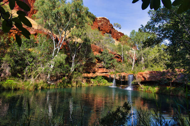Waterfall splashes into a pool, surrounded by lush vegetation, in the Australian outback