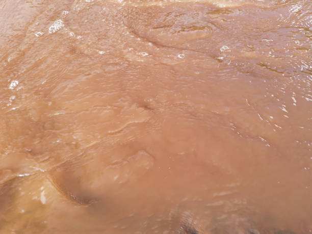 Brown waters rush down the riverbed, stirred by recent heavy rainfall, surrounded by rich greenery under a bright blue sky.