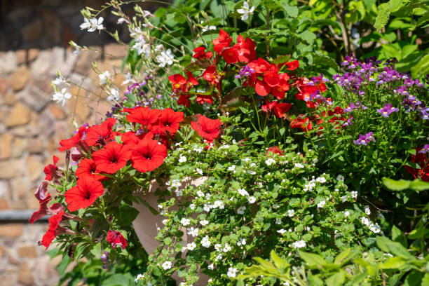 Flower pot in garden