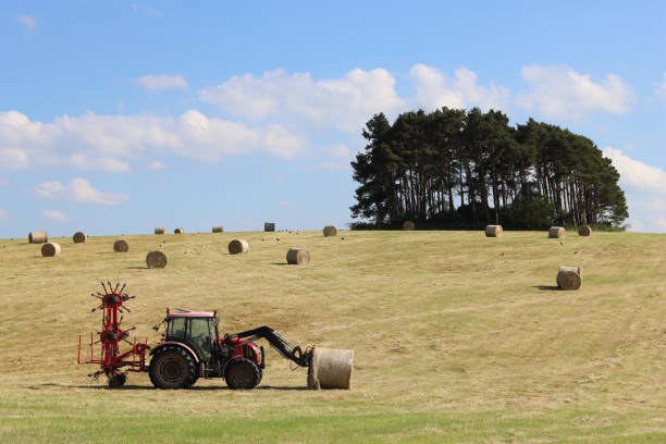 Tractor moving round hay bales in a field in summer