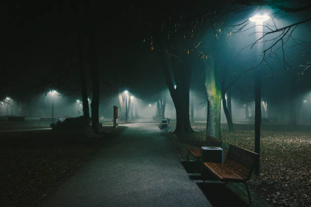 istock Foggy night in the park 2196091771