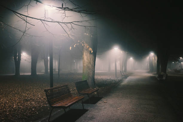 istock Foggy night in the park 2196091772