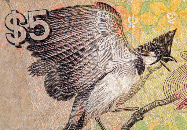 Bird from no longer circulating paper money currency bill.