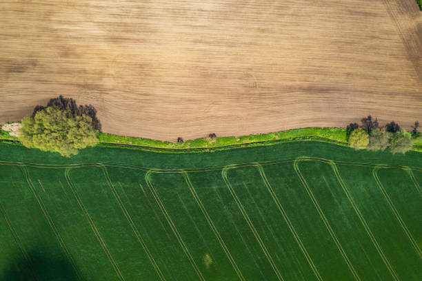 istock a green agricultural field in a rural landscape (aerial shot) 2196092854