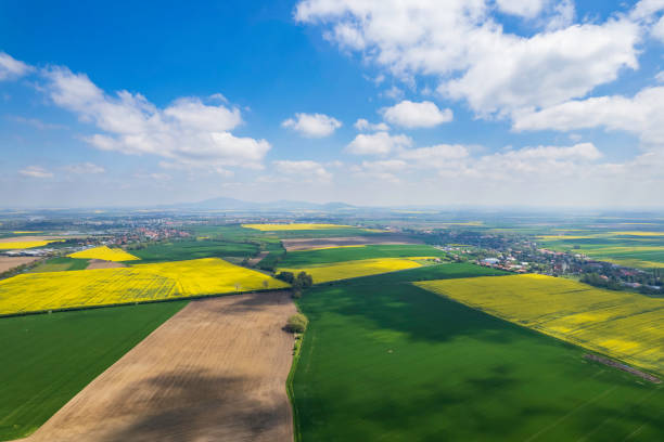 istock a green agricultural field in a rural landscape (aerial shot) 2196092873