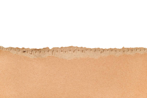 istock Torn cardboard Paper with space for text. Torn cardboard isolated on white background. Banner with copy space 2196093167