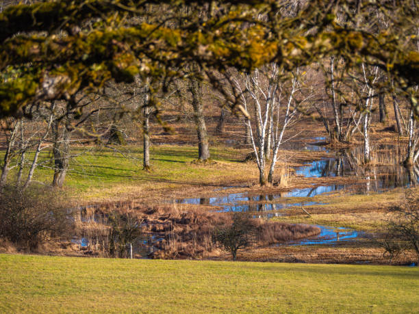 istock Serene Pond in a Grassy Landscape 2196093552