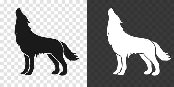 Wolf silhouette standing, in black and white.
