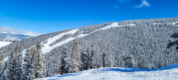 istock Snow Skiing in Colorado, Beaver Creek 2196101485